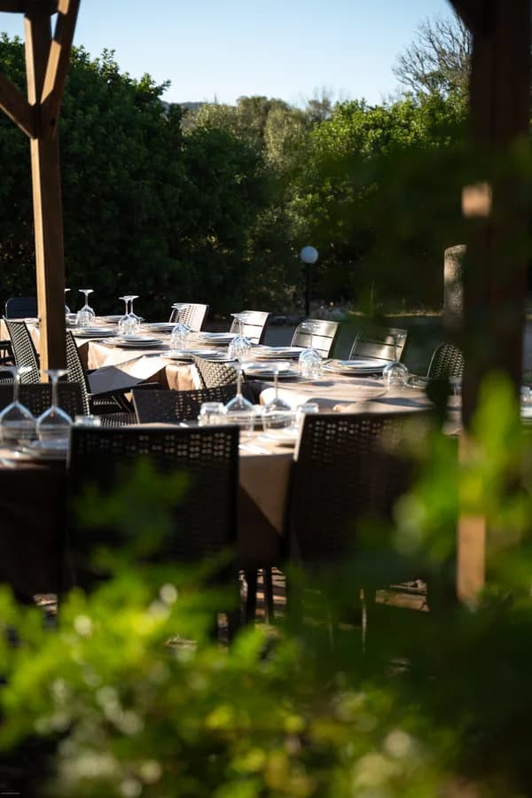 Tables set outdoors for a celebration, surrounded by greenery